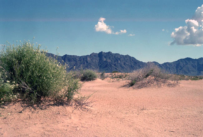 Mohawk Mountains from the dunes