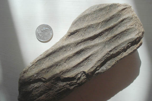 Hard sandstone with preserved ripple marks