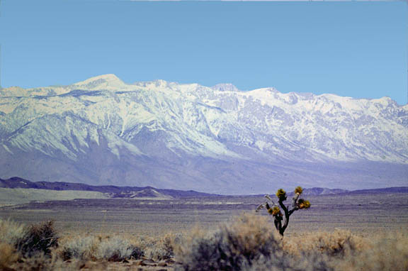 East Side of Sierra Nevada