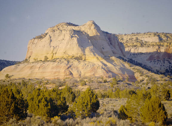 Zion White Cliffs Navajo Sandstone