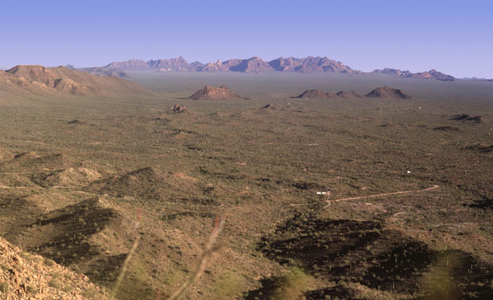 Ajo Range as seen from below Cardigan Peak