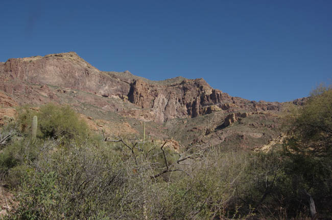Estes Canyon view of main ridge of Ajo Mountains