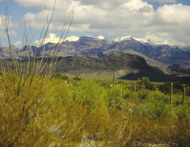 Mount Ajo covered with April snow